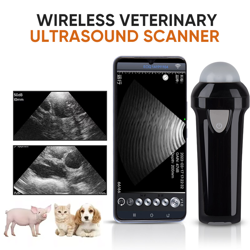 Portable Ultrasound Machine - Pemindai Ultrasound Hewan Portabel Nirkabel untuk